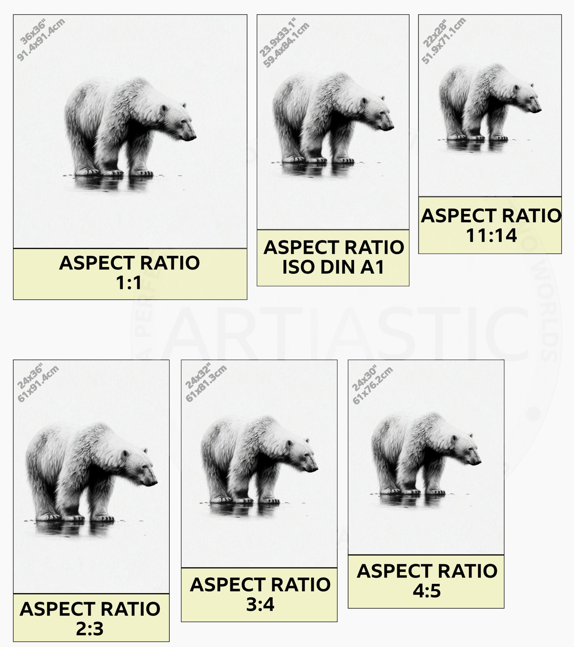 oso polar ilustracion digital ratios