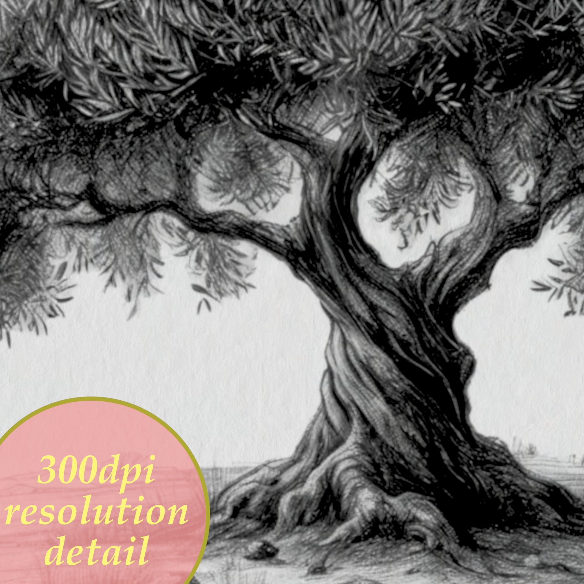 printable drawing olive tree wall art detail