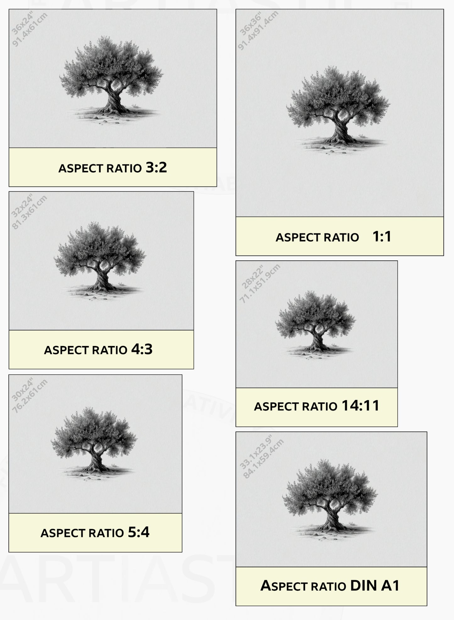 printable drawing olive tree artwork