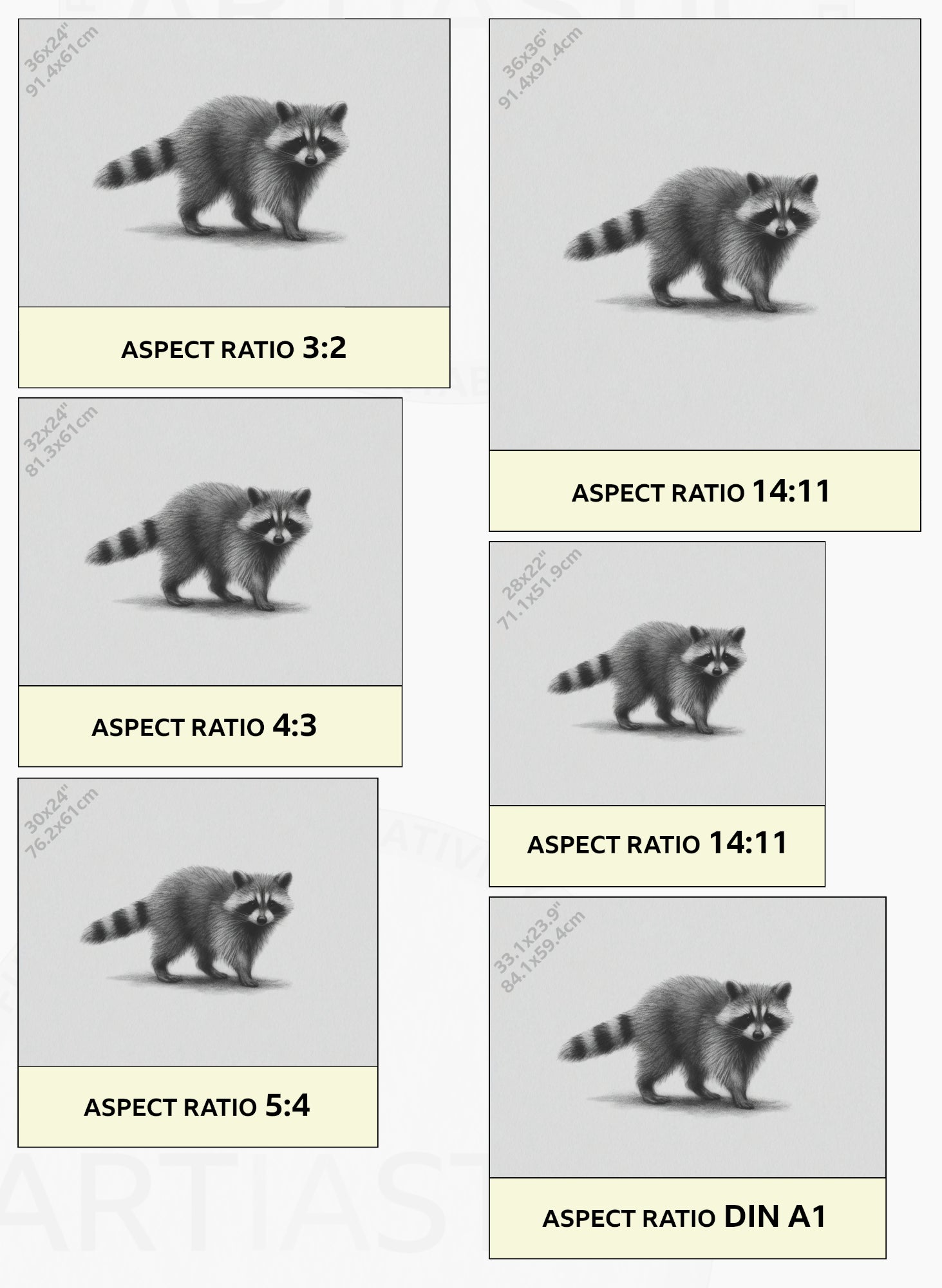 dibujo imprimible mapache carboncillo ratios