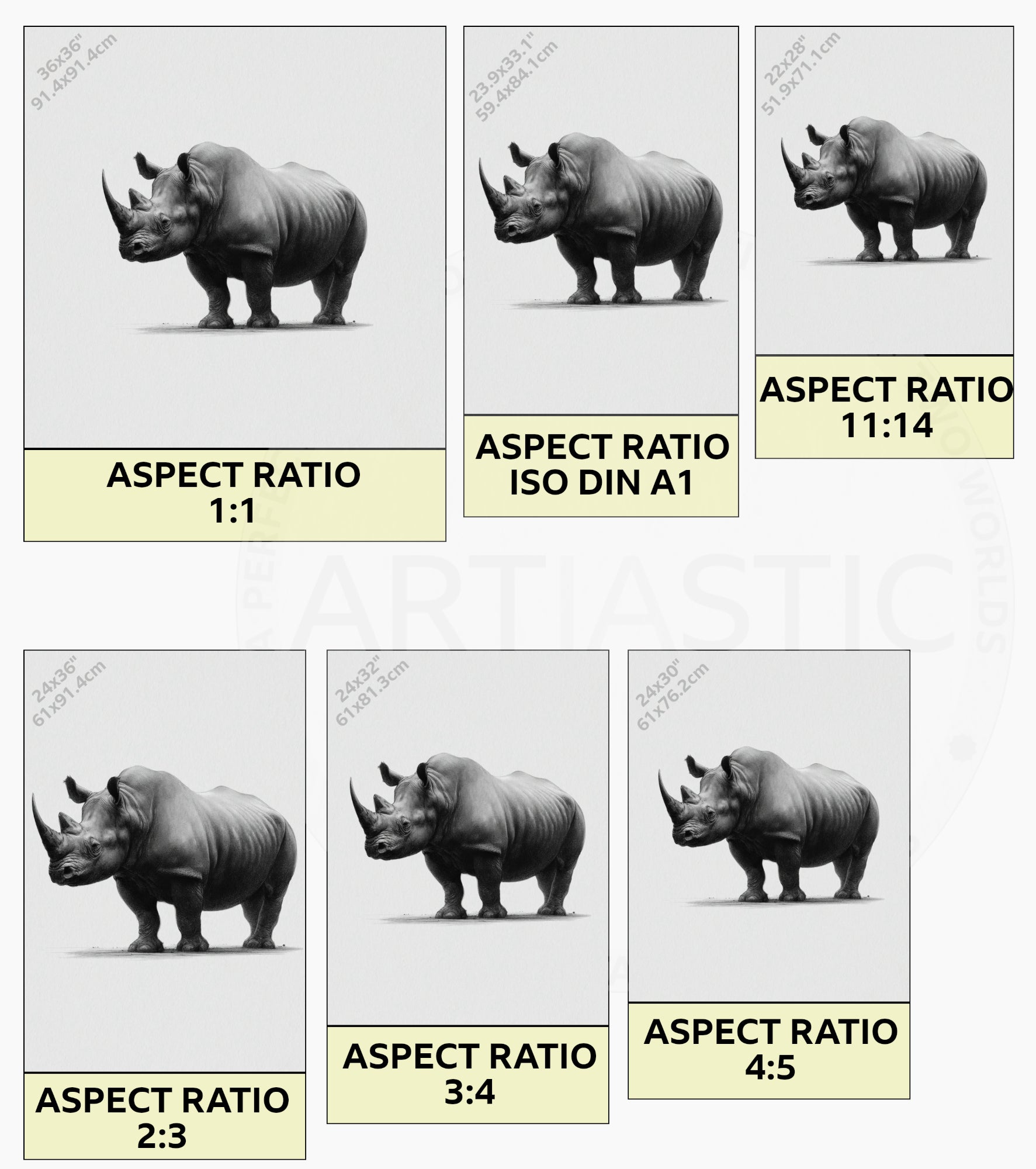 dibujo carboncillo rinoceronte arte pared ratios