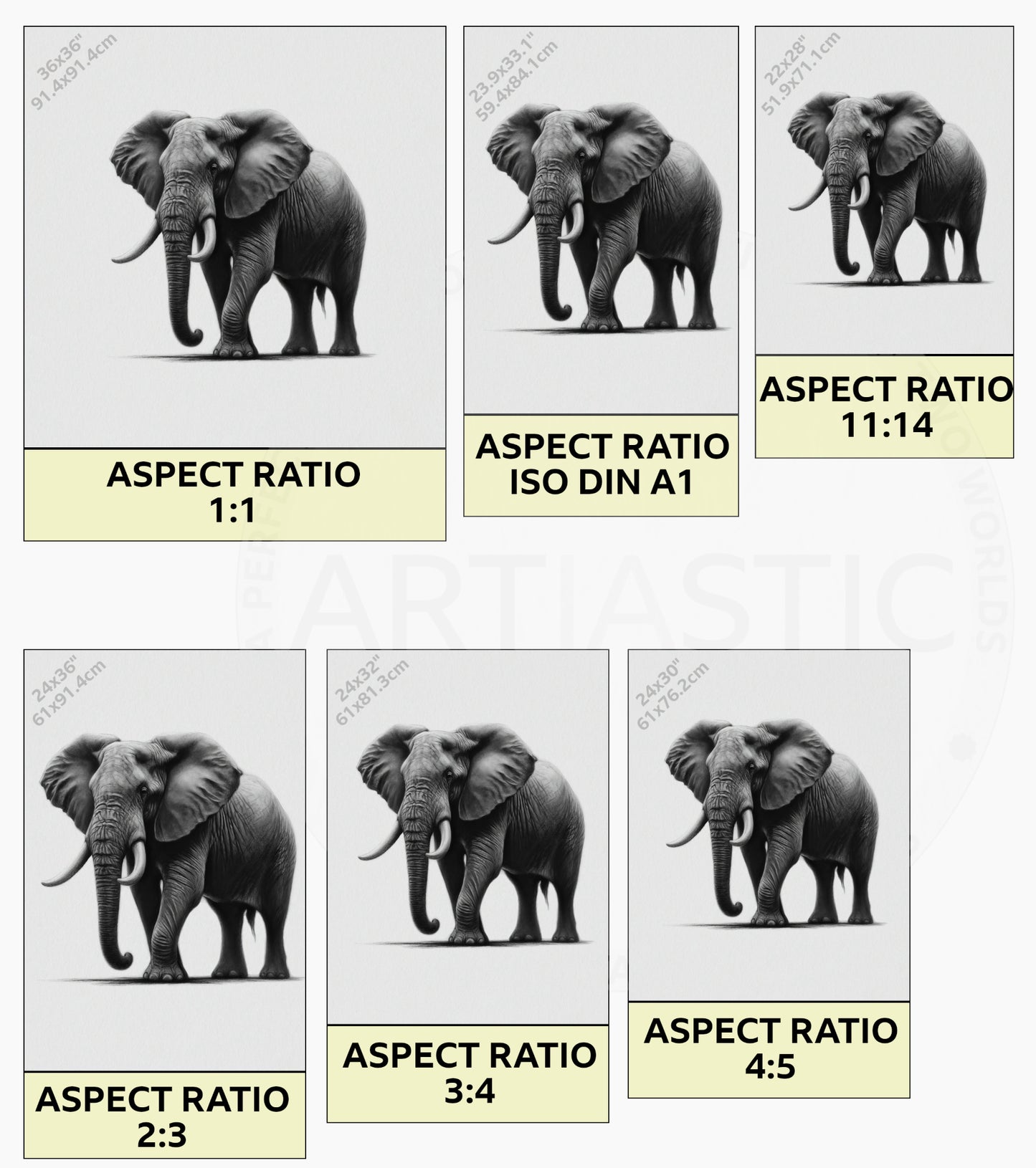 charcoal drawing printable elephant ratios