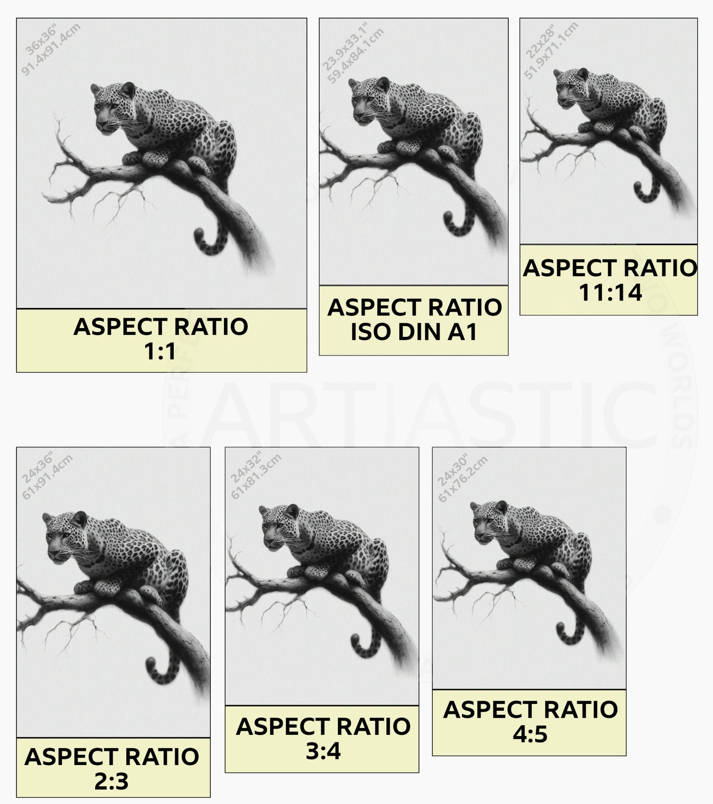 charcoal drawing of a leopard ratios