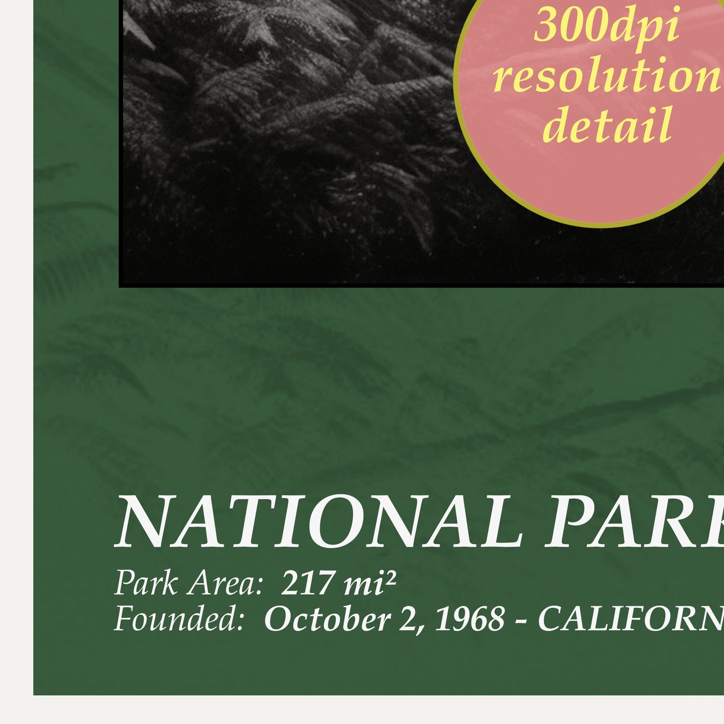 redwood national park poster wall art