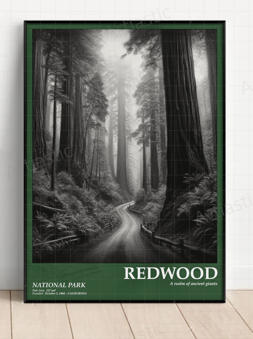 Redwood national park poster