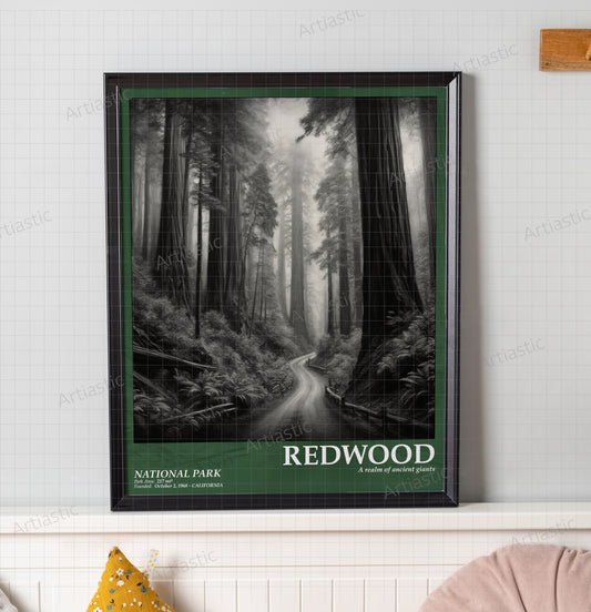 redwood national park poster wall art