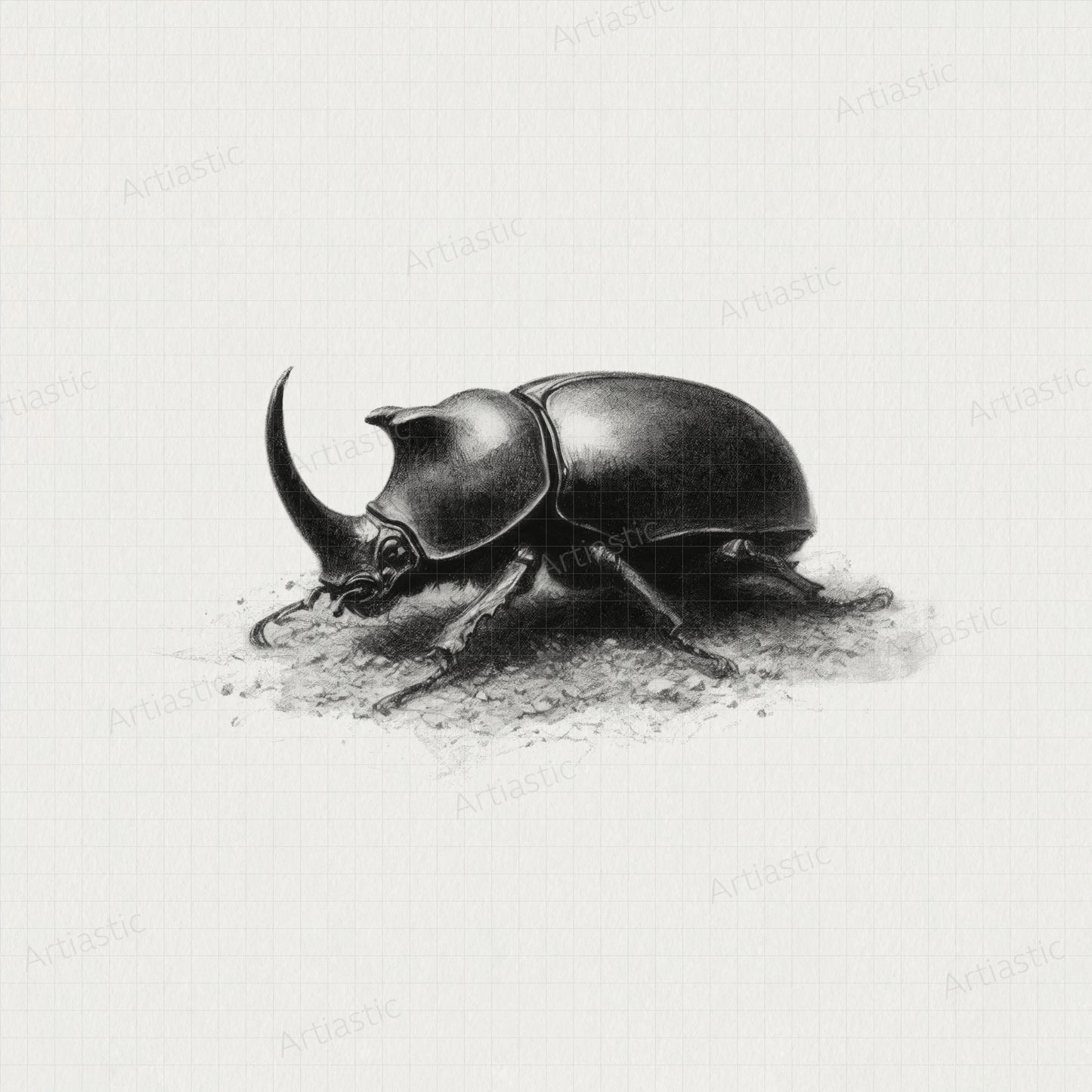 rhinoceros beetle printable drawing wall art