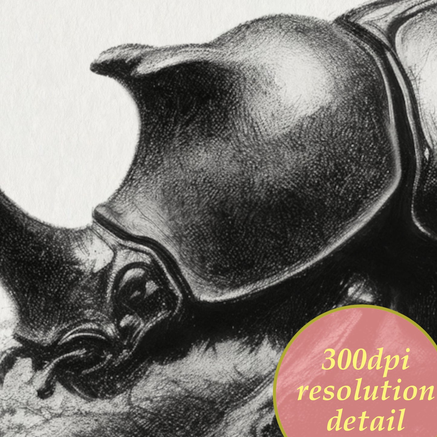 rhinoceros beetle printable drawing wall art detail