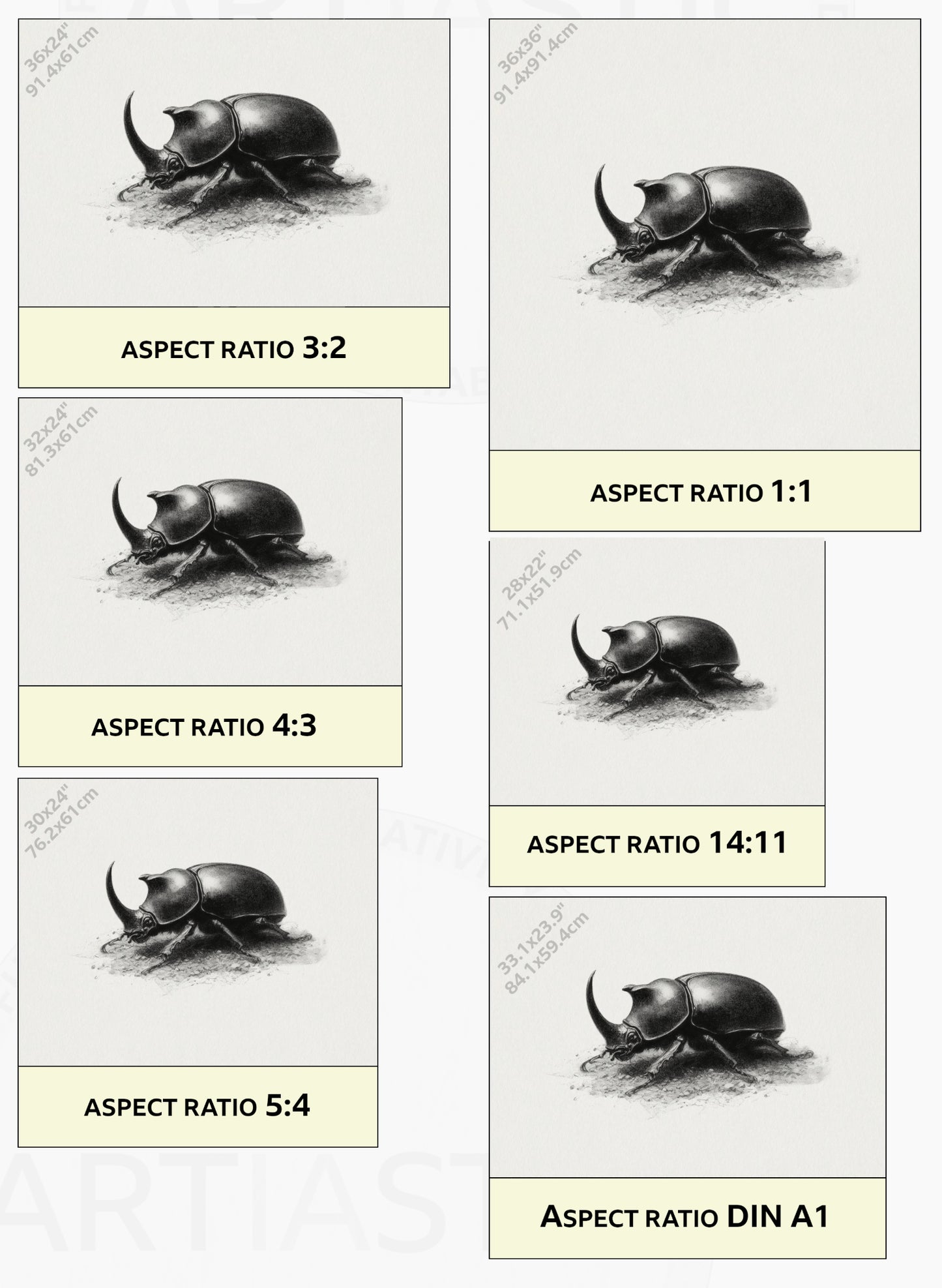 rhinoceros beetle printable drawing wall art ratios