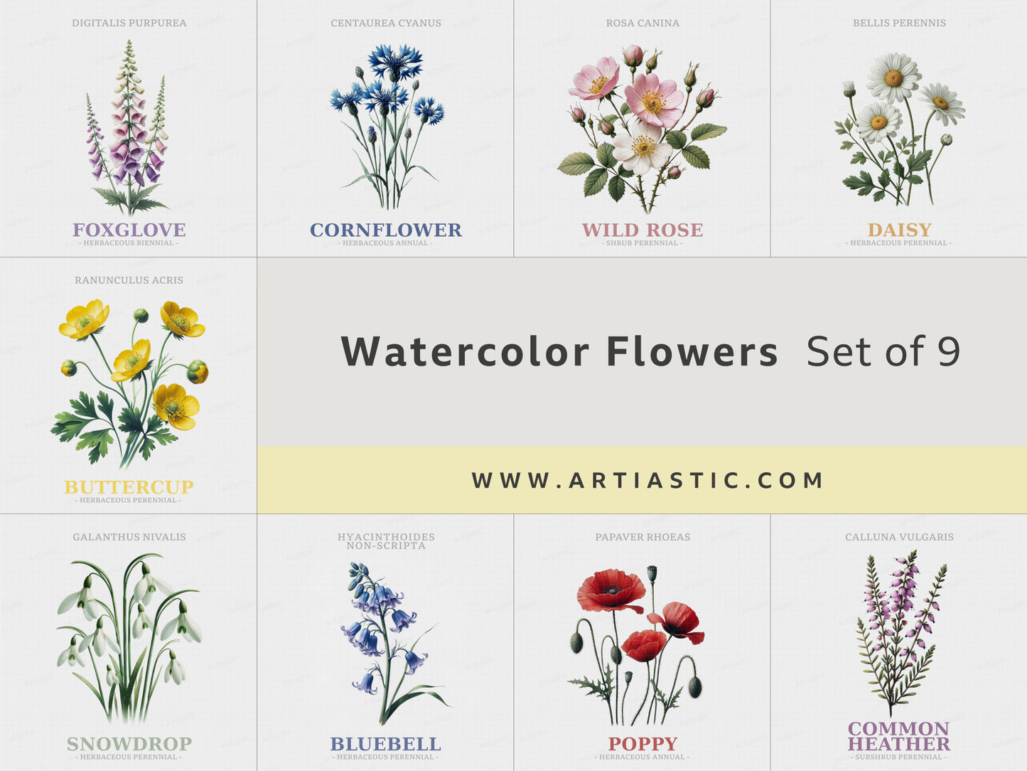 Set of 9 watercolor flower illustrations including Bluebell, Daisy, Poppy, Foxglove, Snowdrop, Primrose, Buttercup, Common Heather, and Wild Rose.