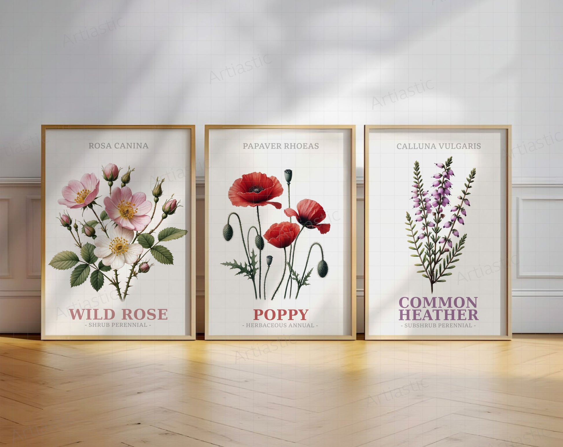 Conjunto de 9 ilustraciones de flores en acuarela que incluyen Campanilla, Margarita, Amapola, Digital, Campanilla de invierno, Primavera, Botón de oro, Brezo común y Rosa silvestre.