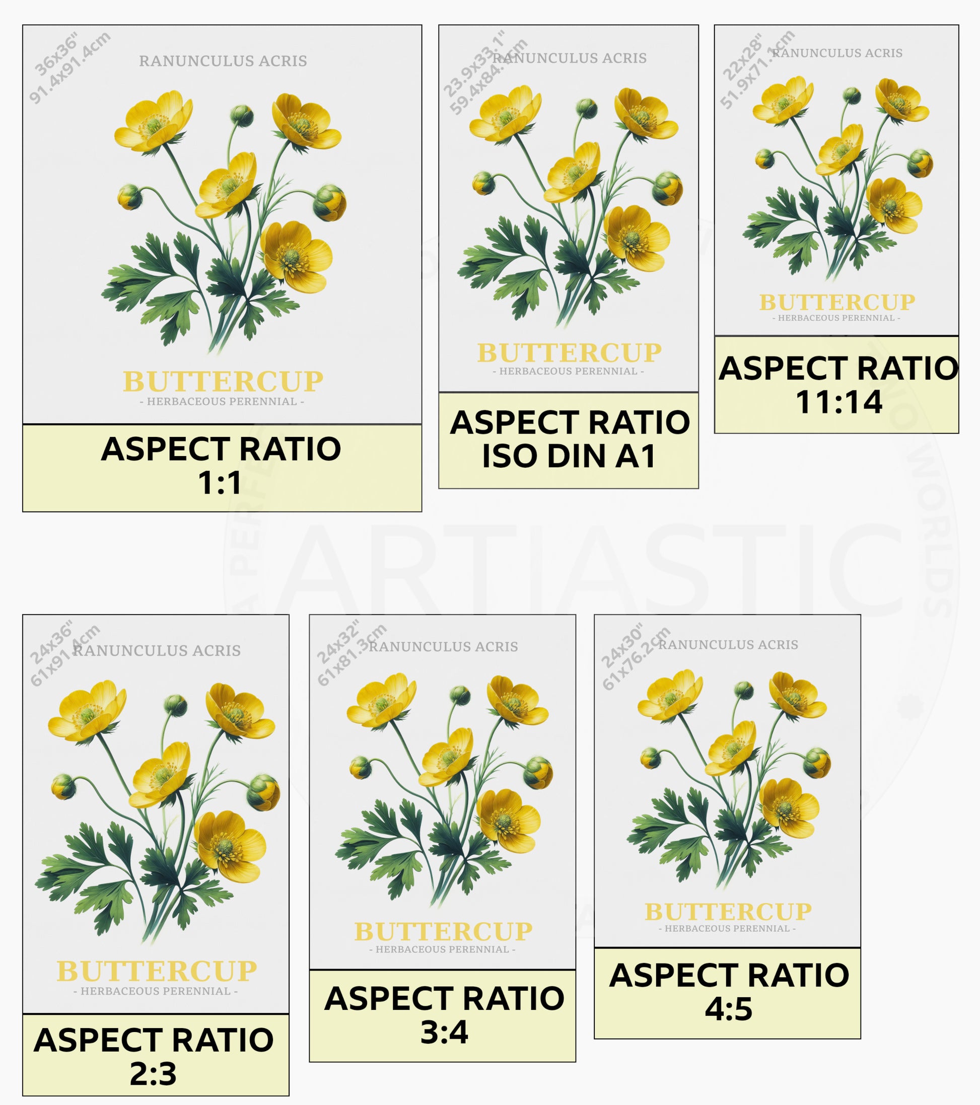 Set of 9 watercolor flower illustrations including Bluebell, Daisy, Poppy, Foxglove, Snowdrop, Primrose, Buttercup, Common Heather, and Wild Rose.ratios