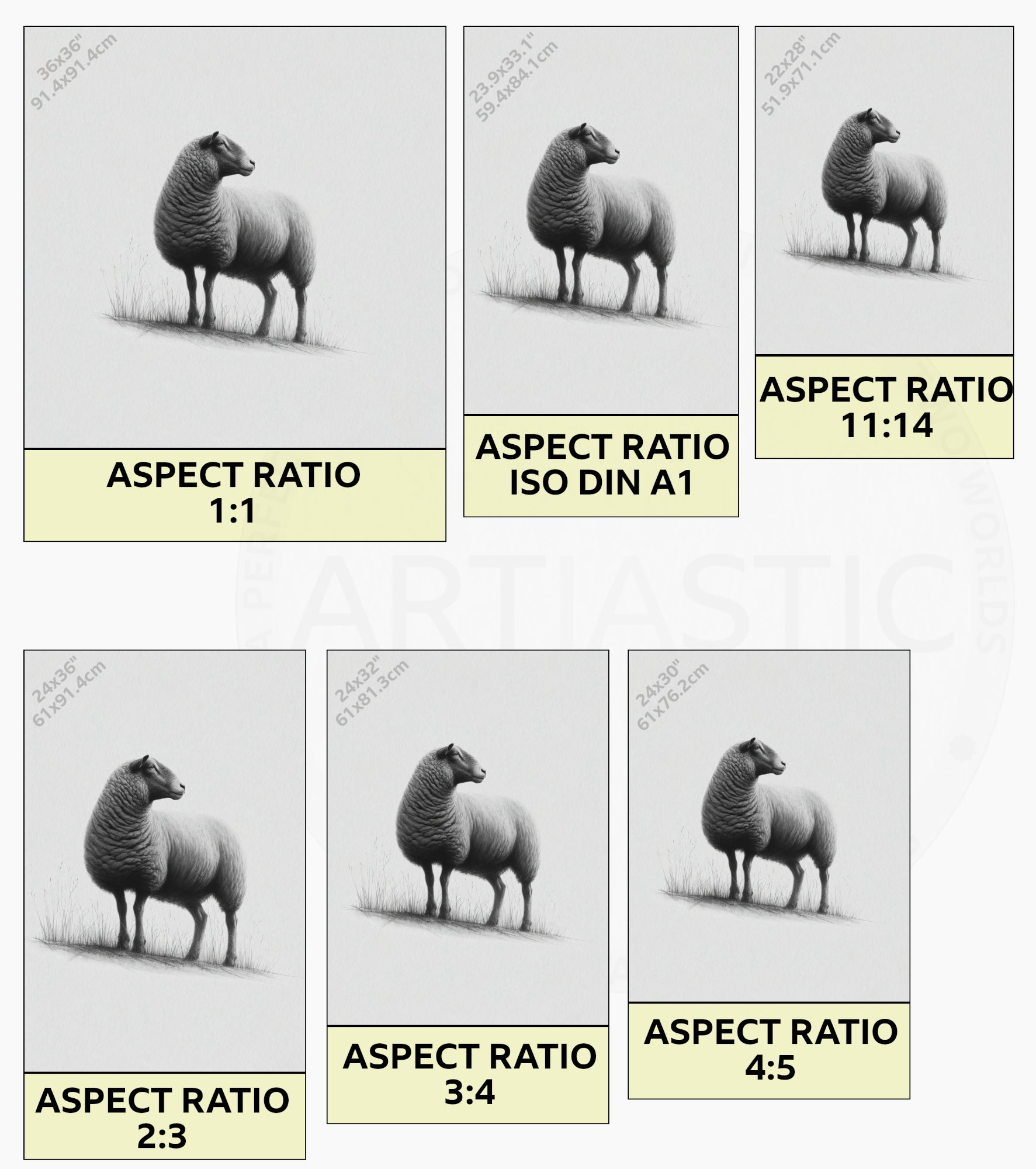 print drawing of a sheep farm animals ratios