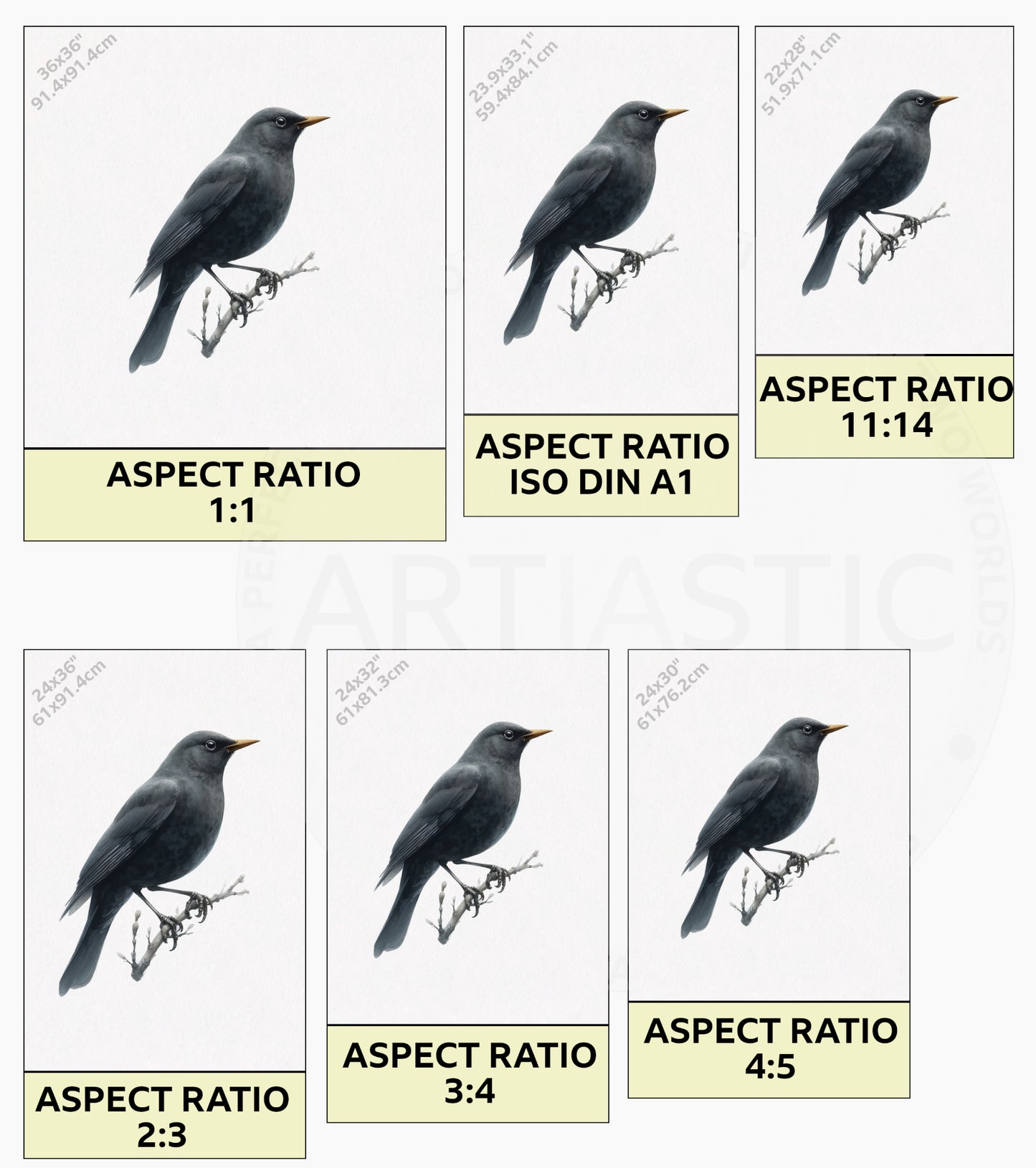 Blackbird watercolor artwork dimensions