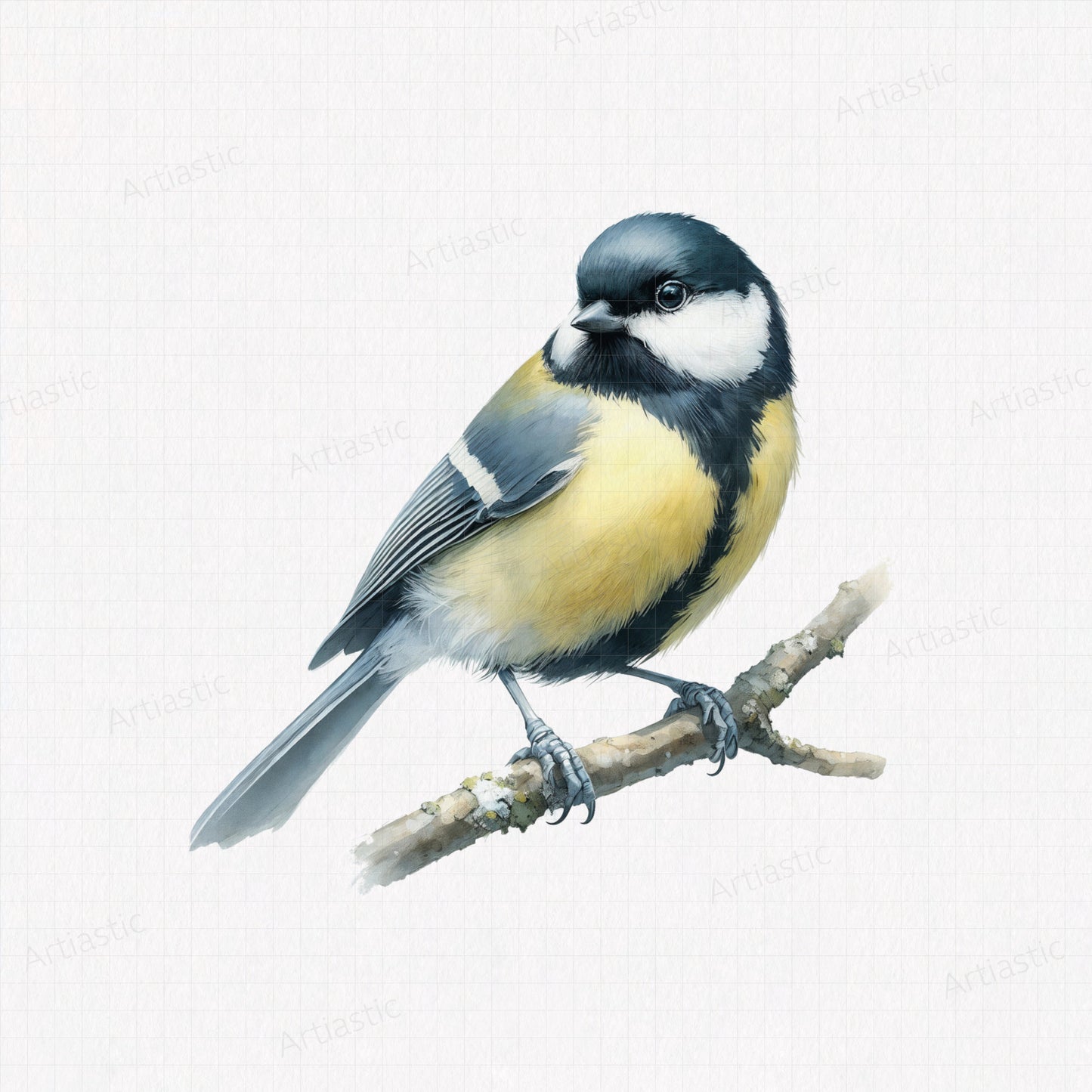 Great tit watercolor printable artwork