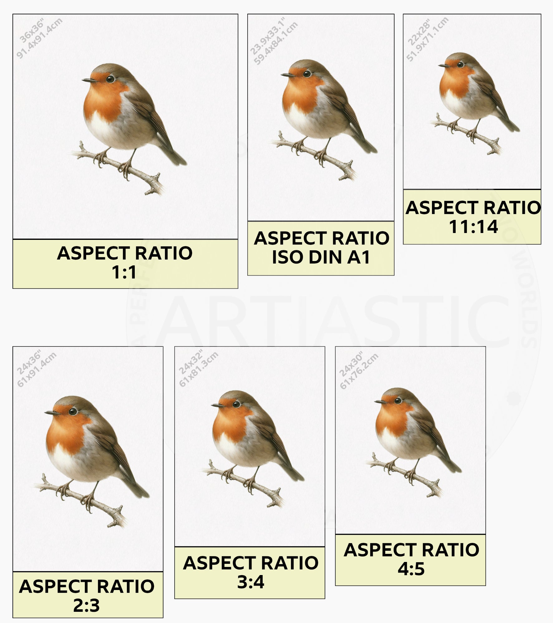 Red Robin watercolor artwork dimensions