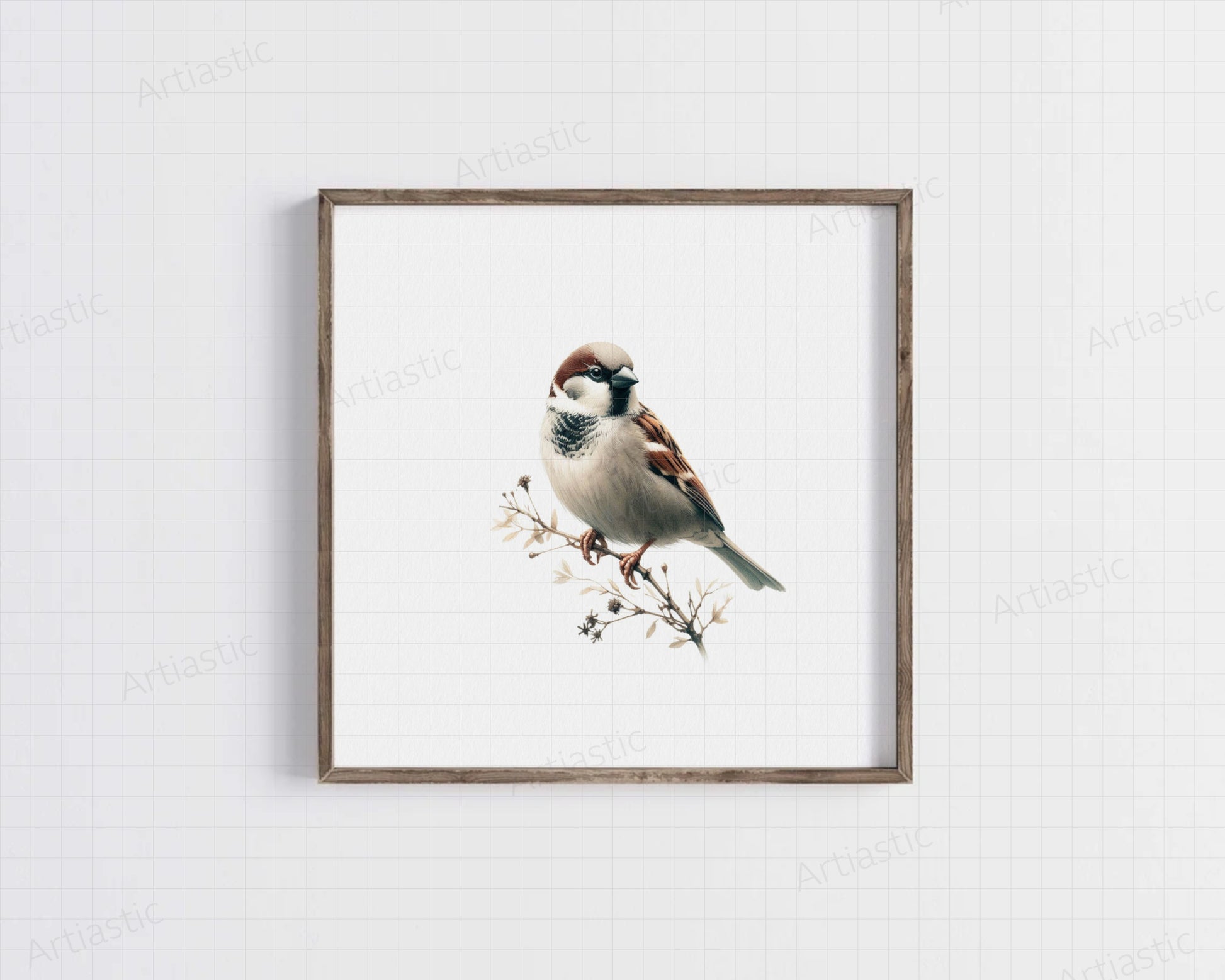 Sparrow watercolor print & framed wall art